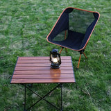 Portable Camping Chair