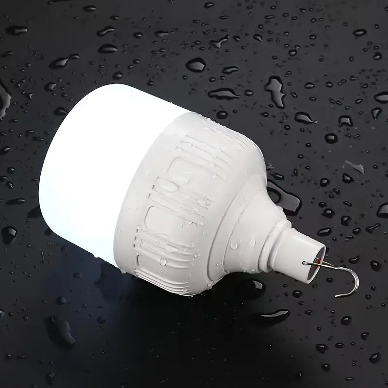 Dimmable LED Light Bulb